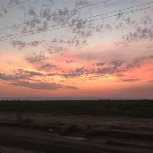 Meet your Posher, Faye